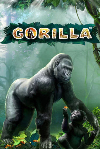 Gorilla играть бесплатно | Казино Гранд игровые автоматы
